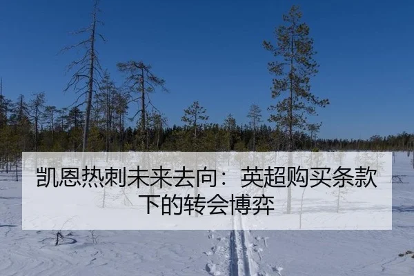 凯恩热刺未来去向：英超购买条款下的转会博弈