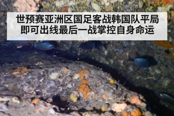 世预赛亚洲区国足客战韩国队平局即可出线最后一战掌控自身命运