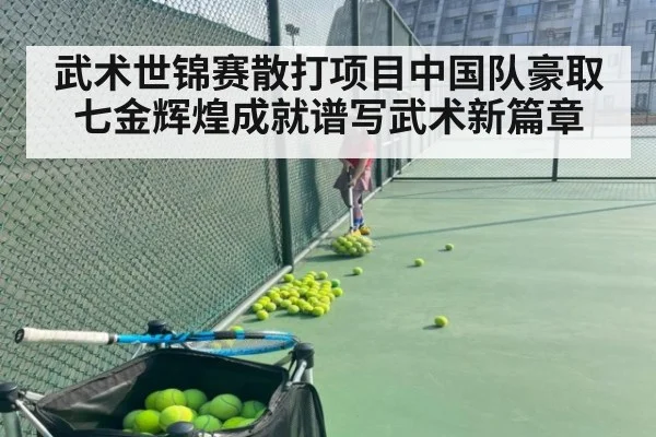 武术世锦赛散打项目中国队豪取七金辉煌成就谱写武术新篇章